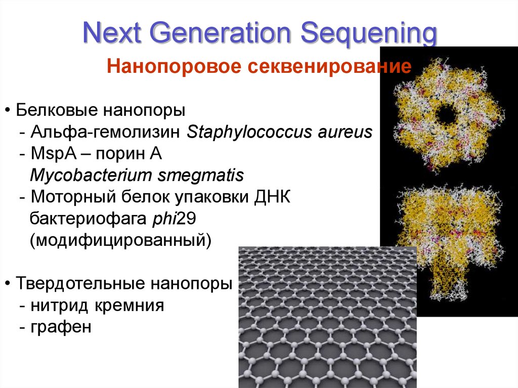 Next Generation Sequening