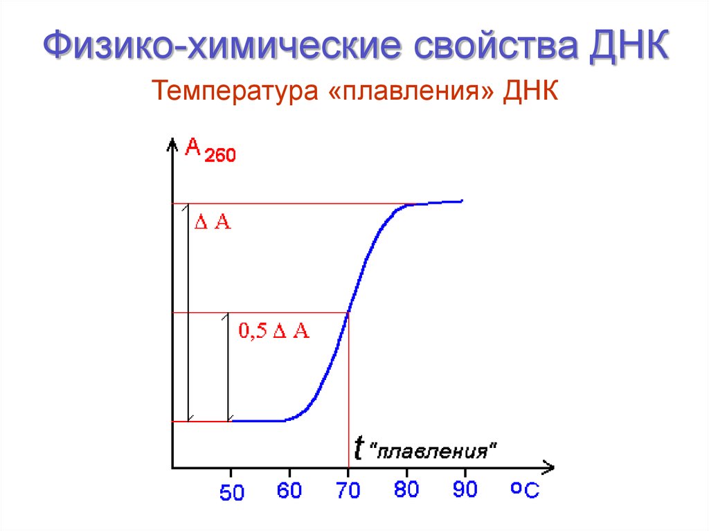 Физико-химические свойства ДНК