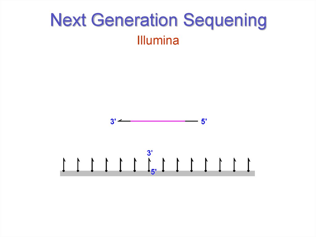 Next Generation Sequening
