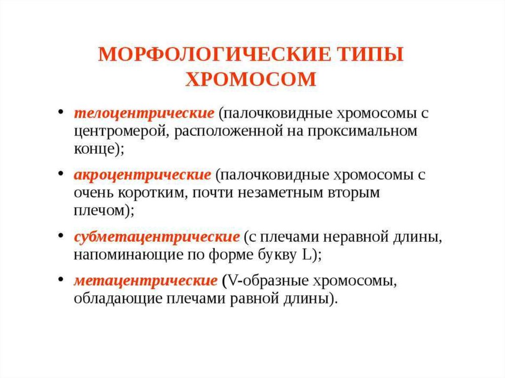 Какие типы хромосом. Характеристика типа строения и морфологии хромосом. Морфология особенности строения хромосом. Типы хромосом палочковидные. Морфологические особенности хромосом.