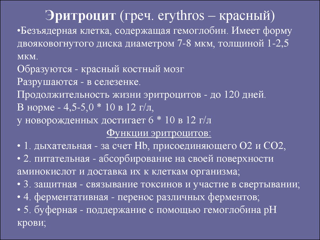 Безъядерные клетки имеют форму двояковогнутого диска