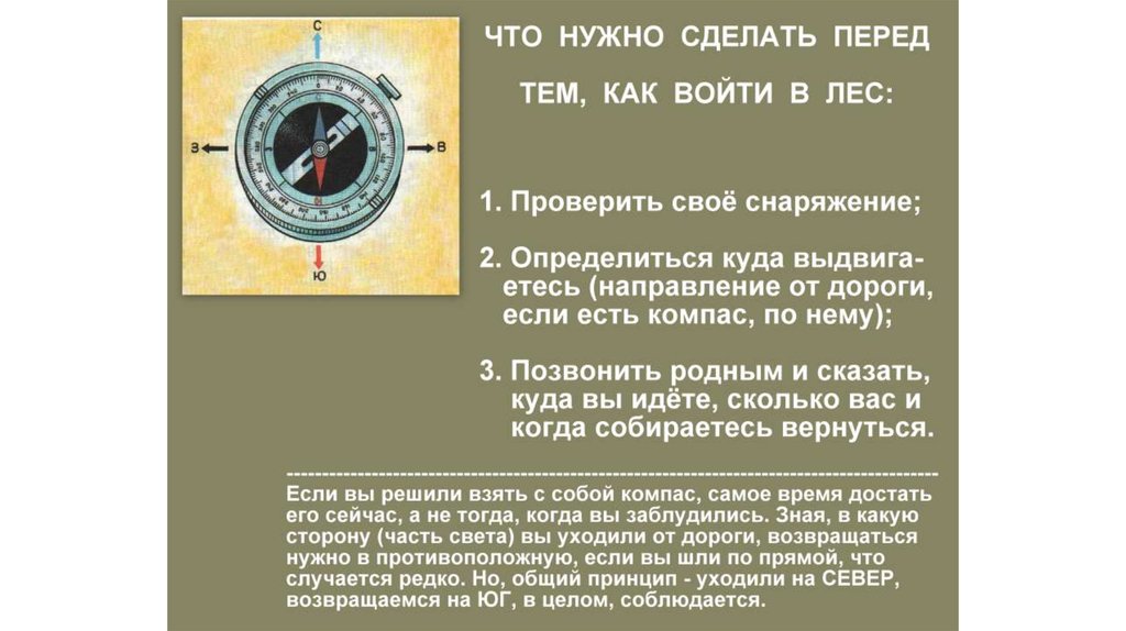 Надо вернуться. В какую сторону надо возвращаться если вы шли на Юг. В какую сторону надо выходить из леса. В какую сторону света идти если заблудился. В какую сторону надо выходить из леса если заходил туда двигаясь на Юг.