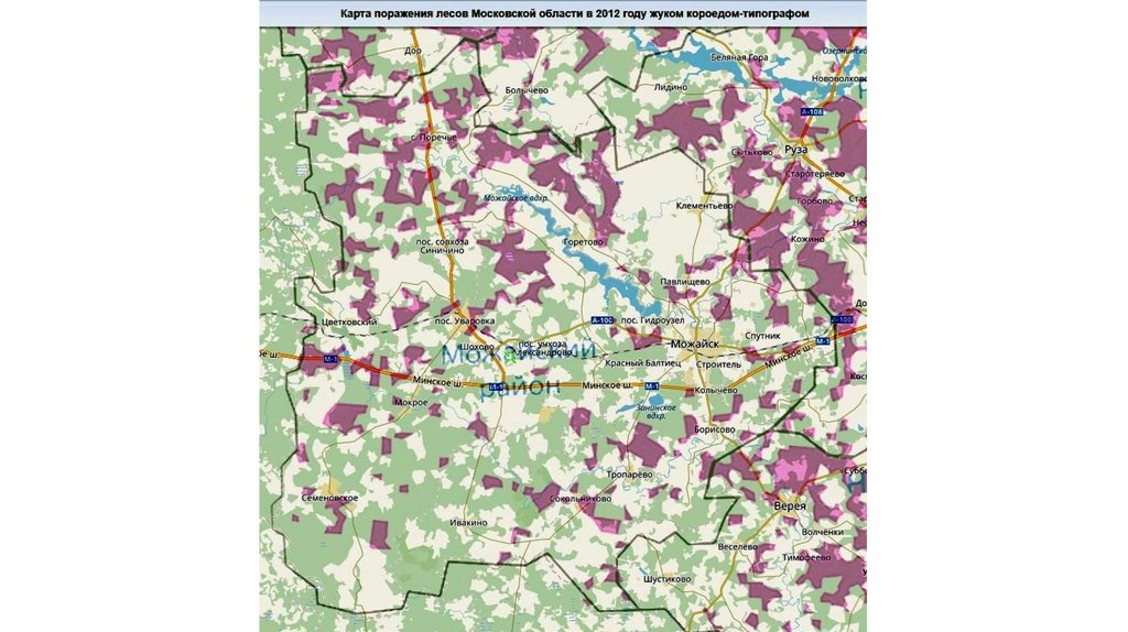 Карта типов лесов подмосковья