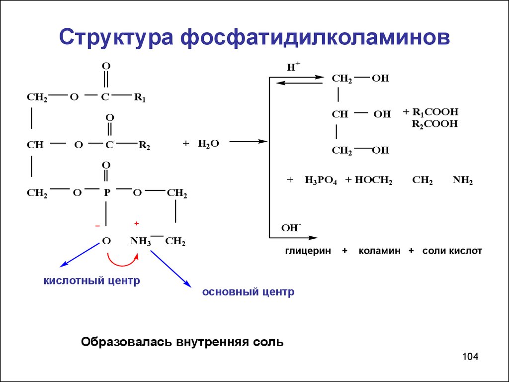 Напишите структурную. Строение кефалина фосфатидилколамина. Фосфатидилколамин гидролиз. Фосфатидилколаминов (кефалины) формула структурная. Уравнение реакции образования лецитина.