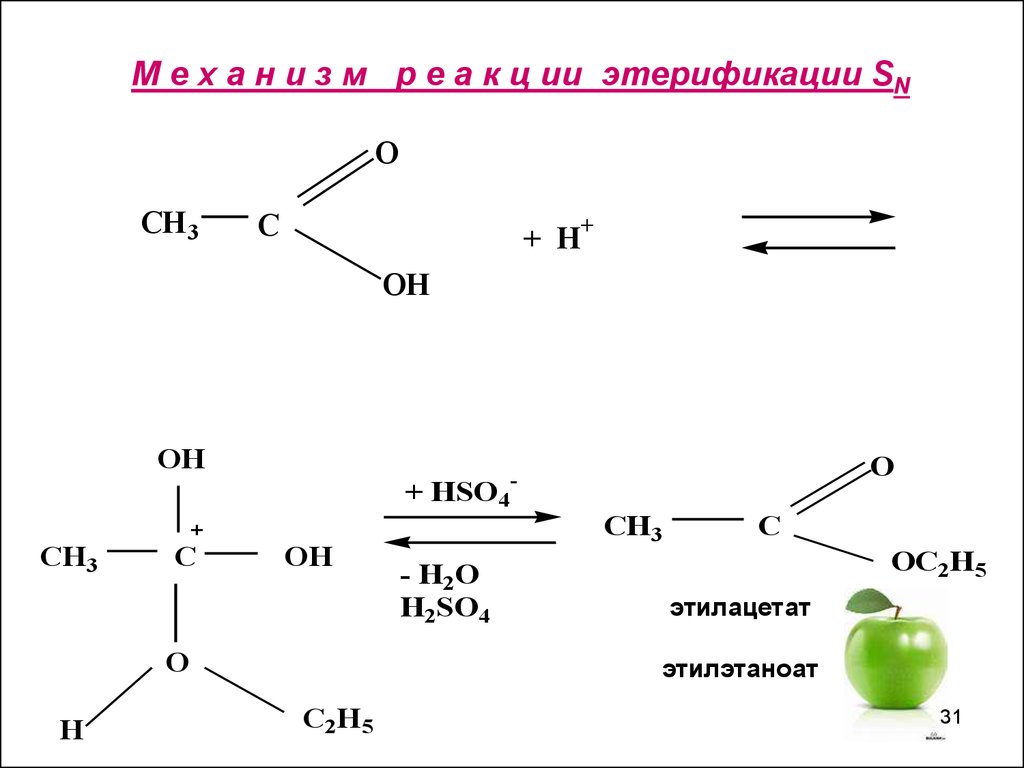 Составьте уравнения реакций этерификации