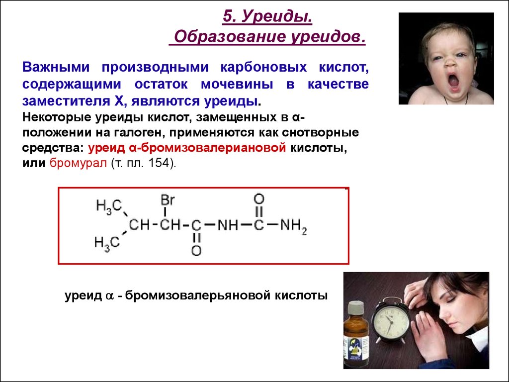 Некоторая кислота. Образование уреида масляной кислоты. Изовалериановой уреидокислоты. Уреид уксусной кислоты. Получение уреидокислоты.