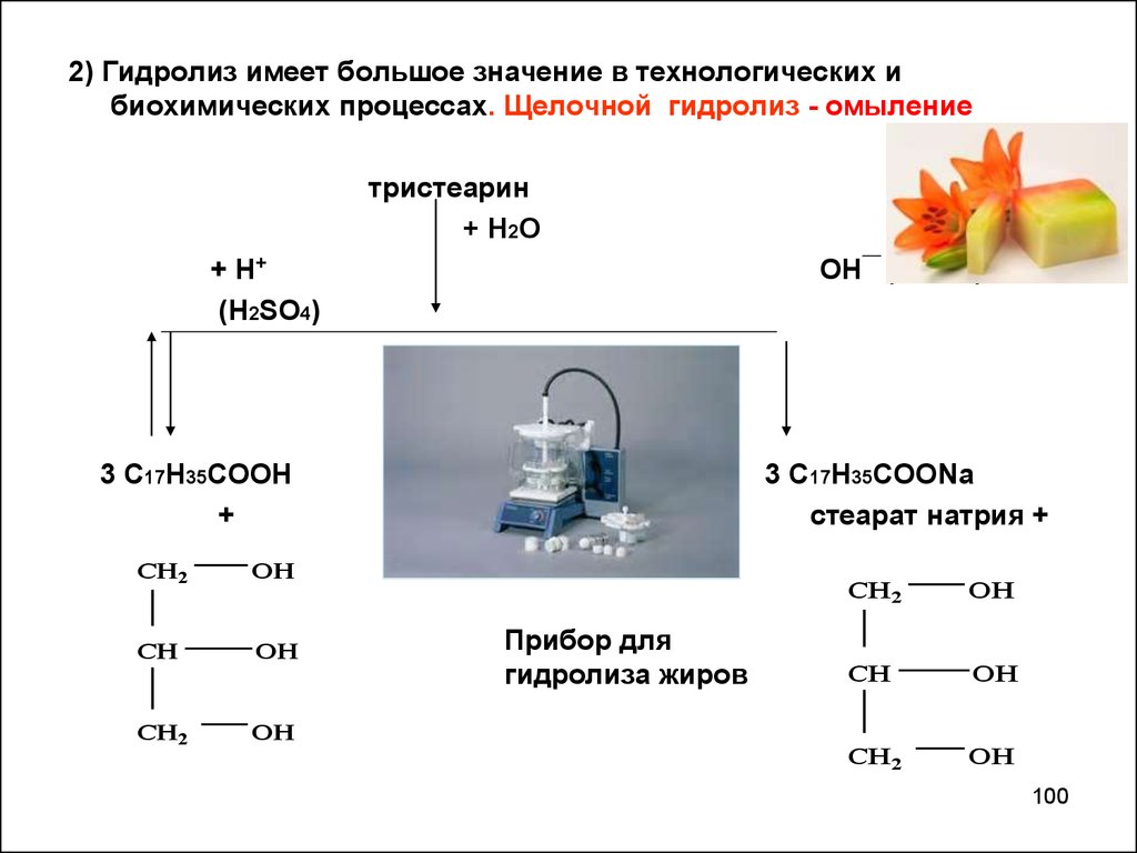 Гидролиз жиров в щелочной среде. Схема типы гидролиза. Общая характеристика процесса гидролиза. Биологическое значение гидролиза. Гидролиз химический процесс.