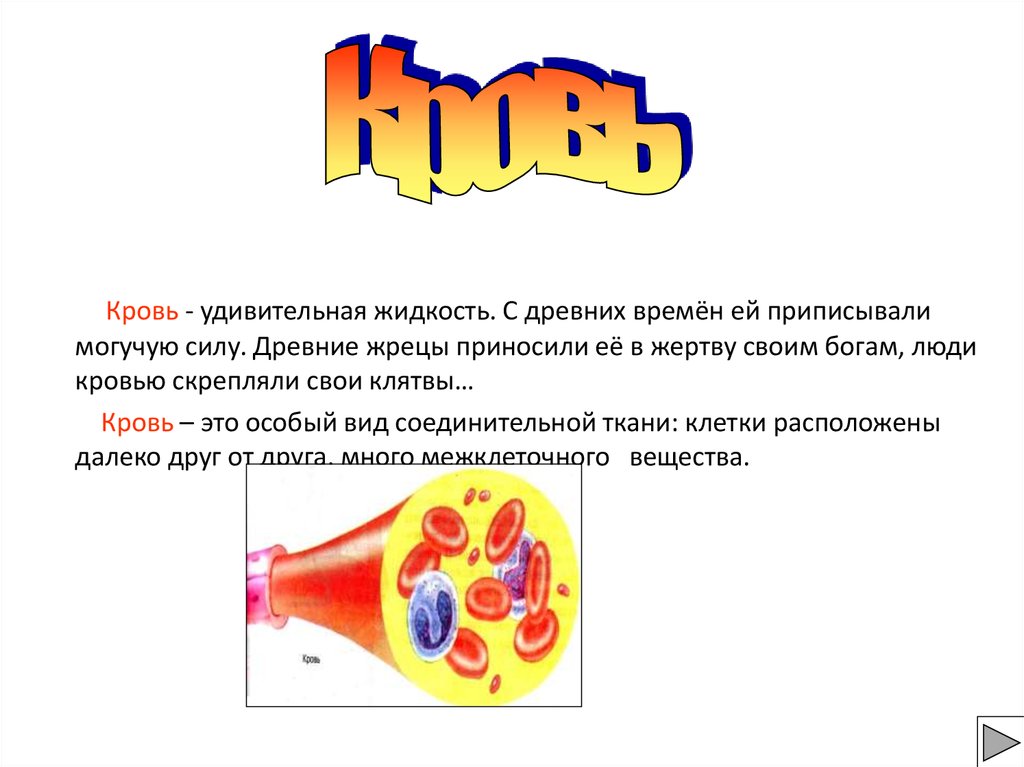 Динамическое постоянство внутренней среды организма