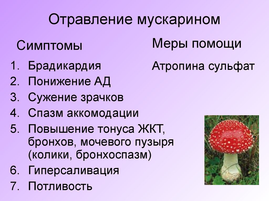 Интоксикация грибами. Отравление грибами, содержащими мускарин.. Острое отравление мускарином патогенез. Симптомы отравления мускарином. Симптомы отравления мускарином и меры помощи..