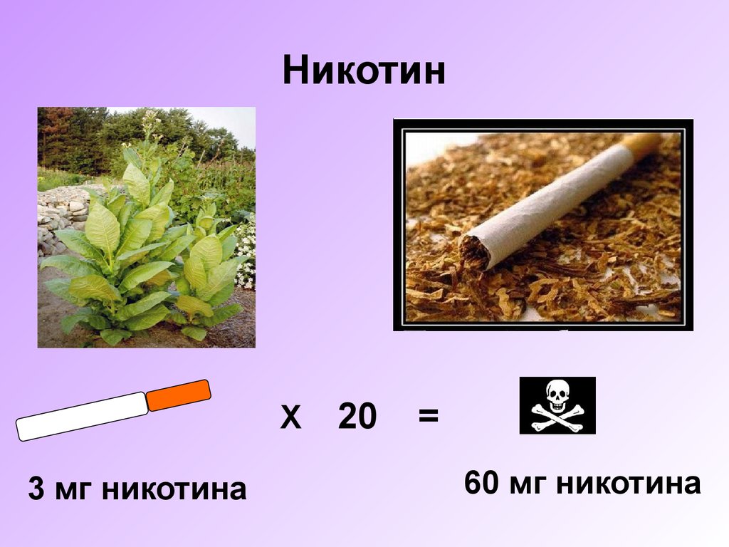 Никотин. Никотин в табачном листе. Никотин картинки. Никотин в природе.