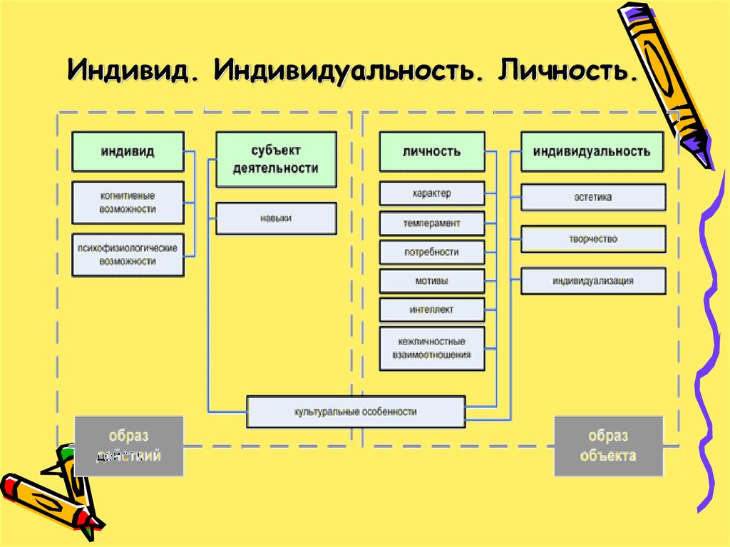 План человек как результат биологической и социокультурной эволюции егэ общество