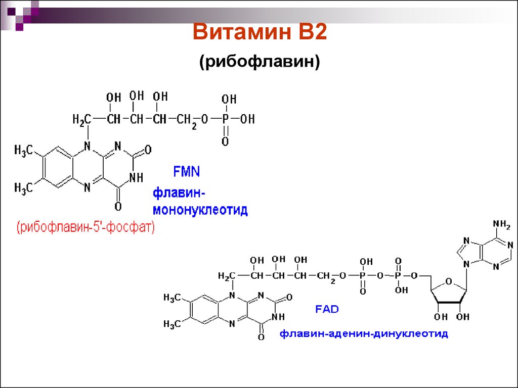 Витамин B2 (рибофлавин)