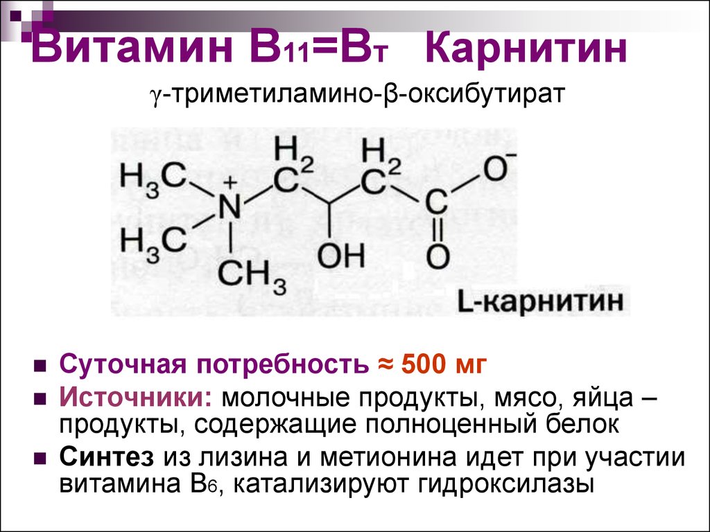 Витамин B11=Bт Карнитин