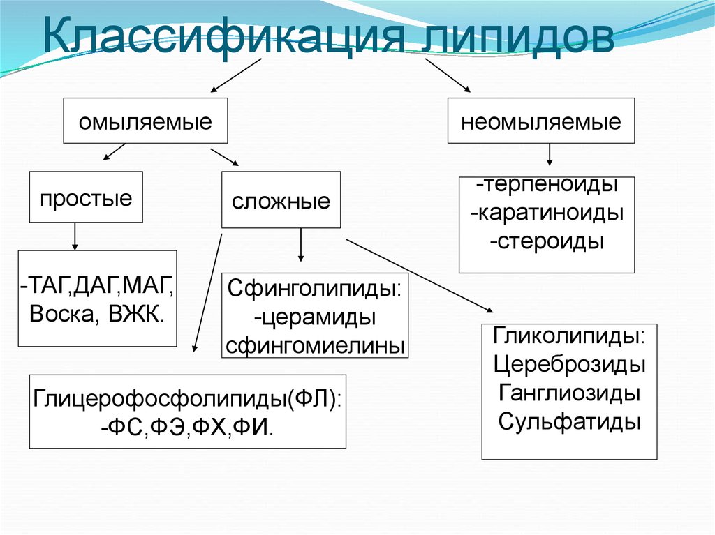 Липиды биохимия лекция презентация