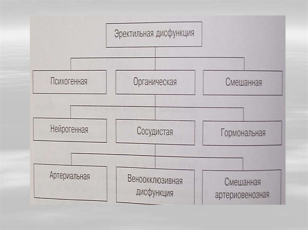 Эректильная дисфункция у мужчин что это такое