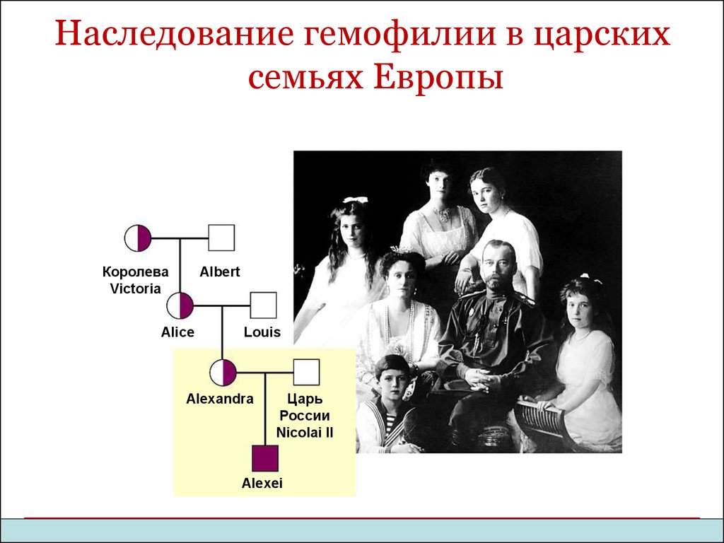 Гемофилия доминантный. Родословная Романовых гемофилия. Родословная Николая 2 гемофилия.