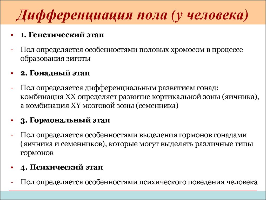 Появление полов. Дифференциация признаков пола в развитии. Дифференциация признаков пола в онтогенезе. Механизм дифференцировки пола у человека. Этапы дифференцировки пола.