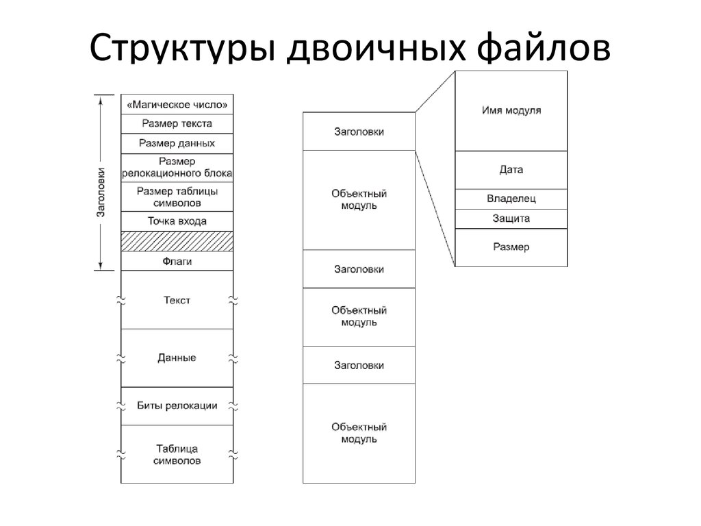 Файл б б. Структура бинарного файла. Внутренняя структура файла. Структура исполняемых файлов.. Структура двоичных выполняемых файлов.