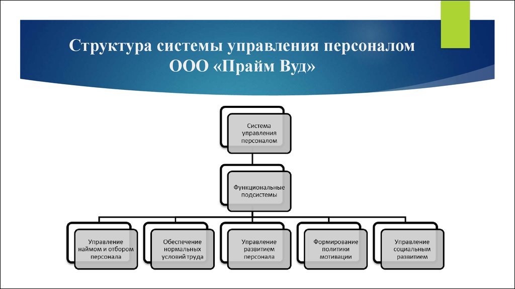 Структура кадров управления