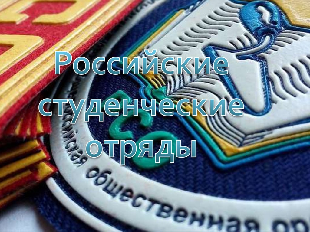 Трудовой проект рсо