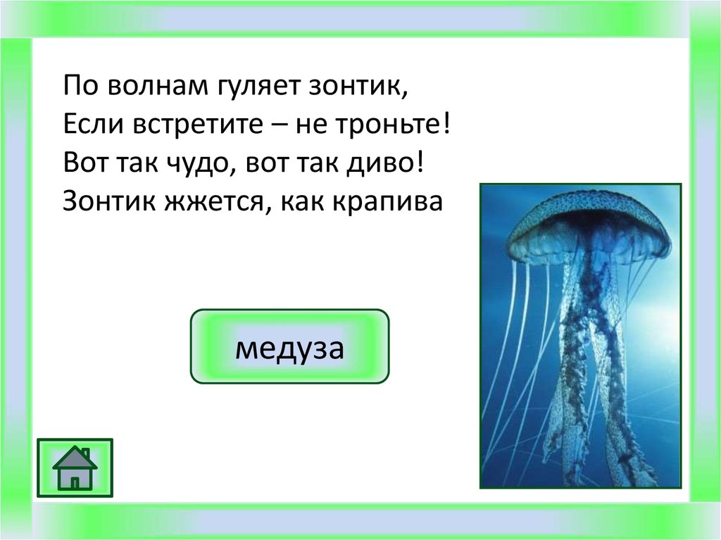 Слова из слова зонтик. Загадка про медузу. Загадка про медузу для детей. Стих про медузу для детей. Загадки про медузу для детей 6-7.