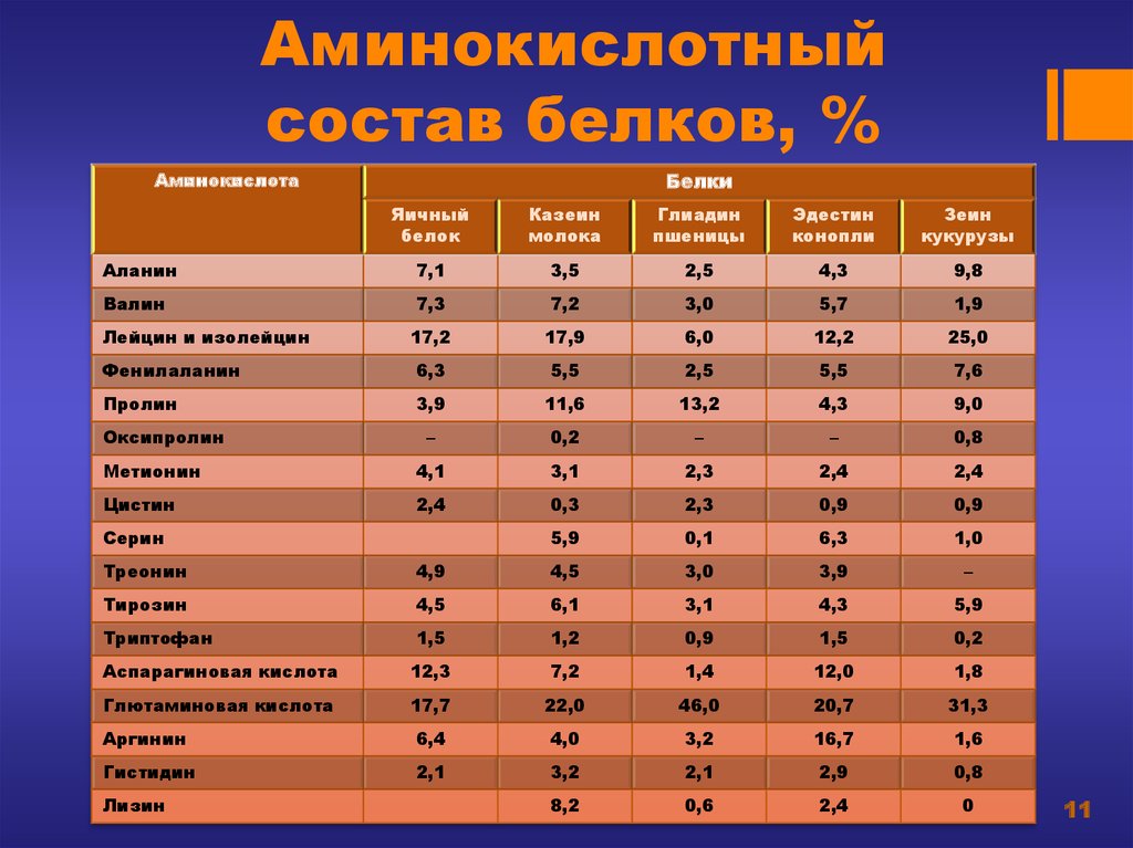 В состав белков входят аминокислоты