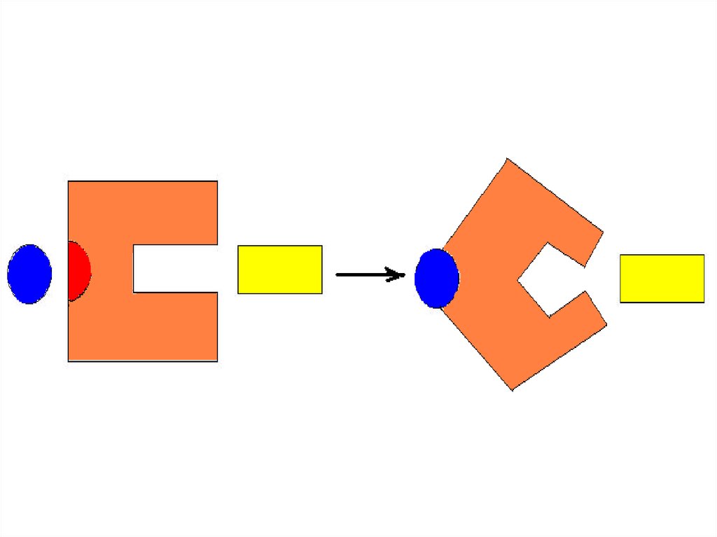 Аллостерический активатор. Рисунок фермента с активным центром 3d.