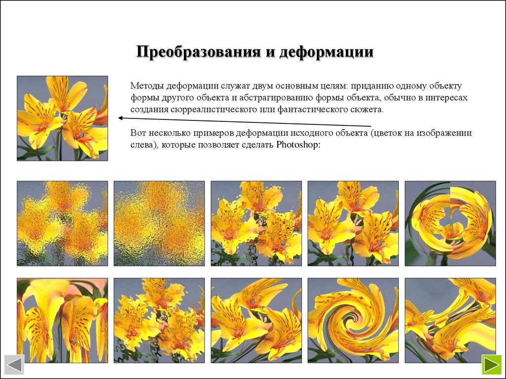 Графика презентация 10 класс. Преобразования сенсорных данных с целью придания им смысла.