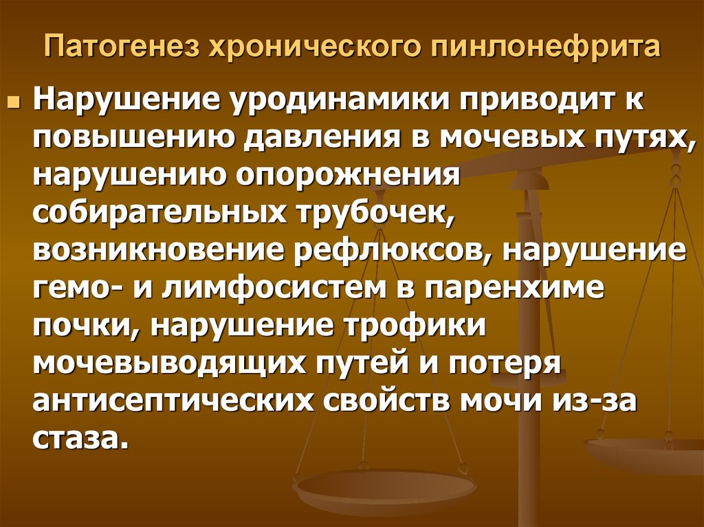 Презентация заболевания почек и мочевыводящих путей