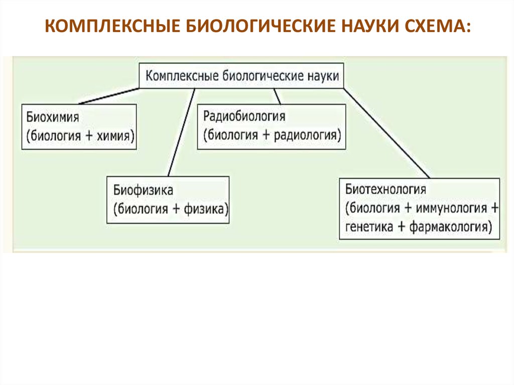 Схема наук биологии