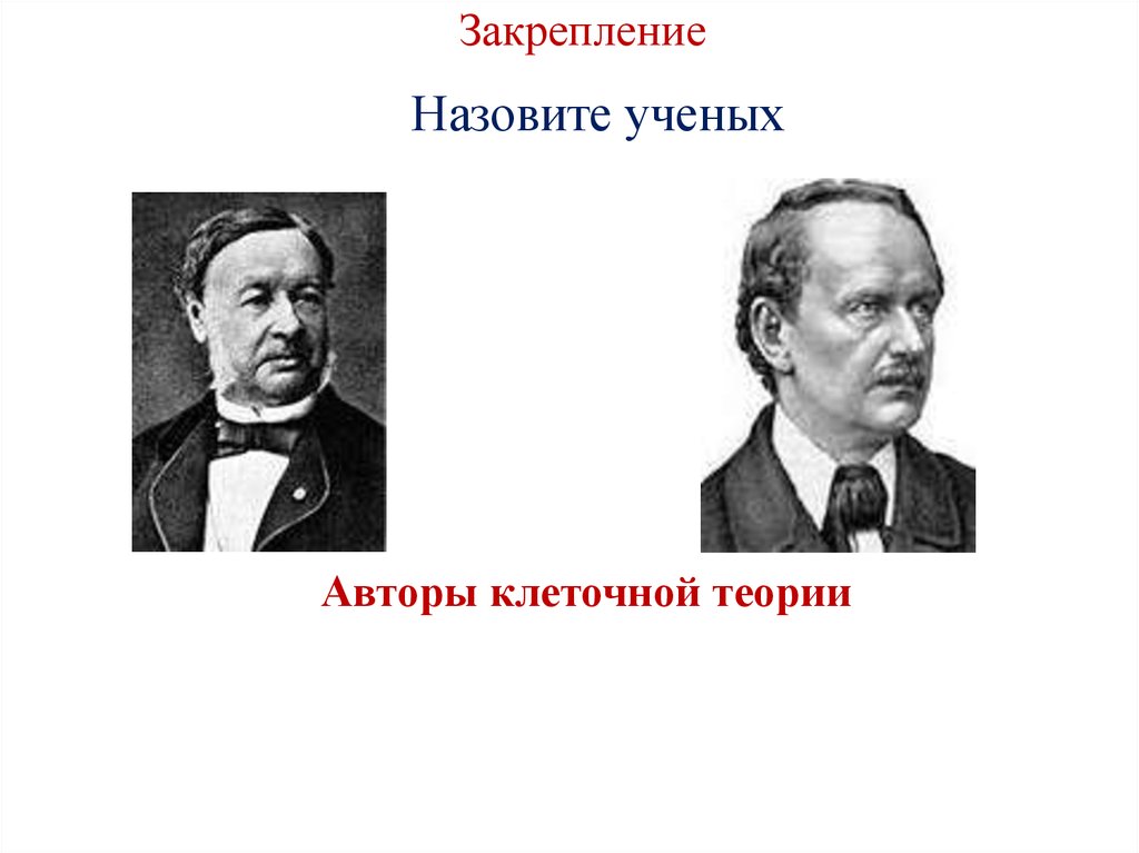 Автор клеточной. Авторы клеточной теории. Назовите автора клеточной теории. Кто был автором клеточной теории. Автор в клетку.