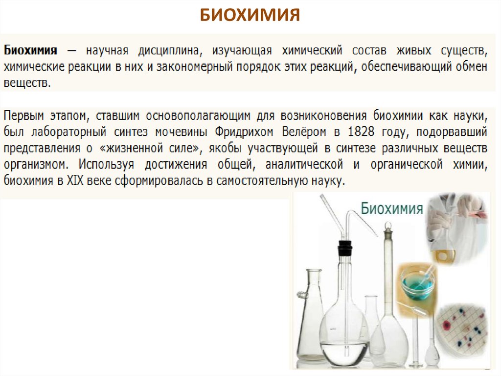 Биохимическая химия. Биохимия. Предмет биохимии. Биохимия это в биологии кратко. Биохимия как наука.