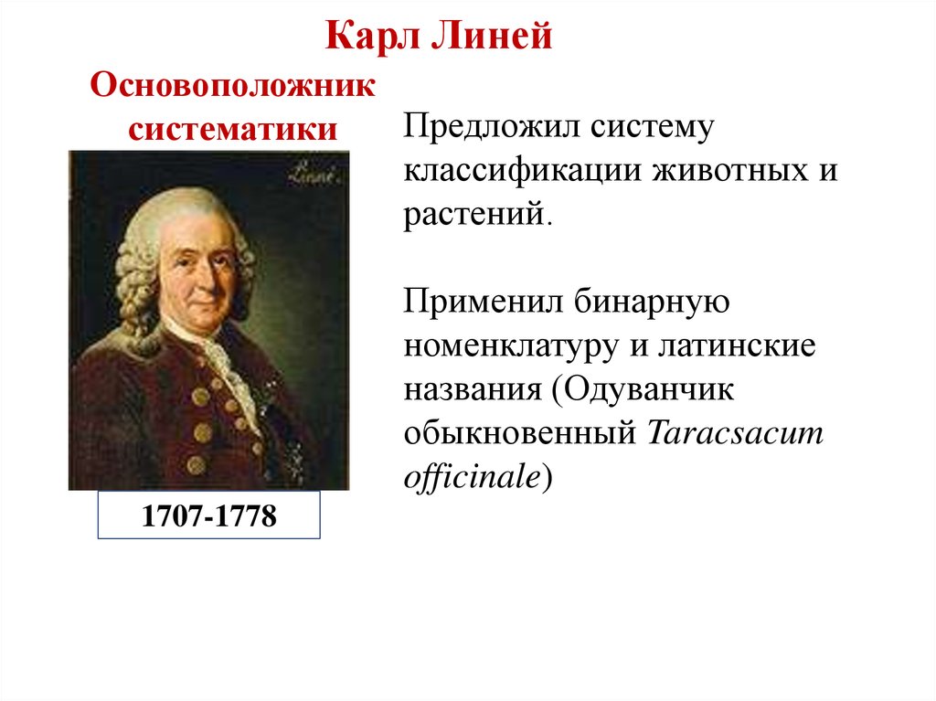 Систематика основоположник систематики. Карл Линней основоположник систематики. Карл Линней систематика животных. Основоположник классификации Карл Линней. Карл Линней основоположник систематики растений и животных.