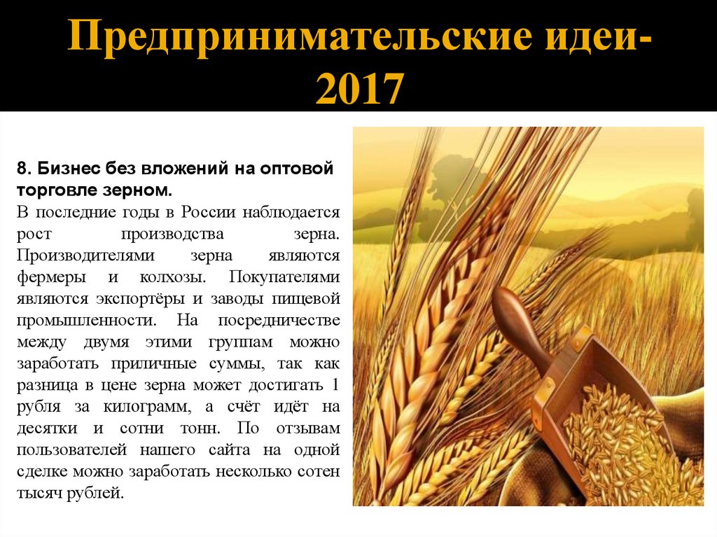 Злаковым является. Оптовая торговля зерном. Доклад на тему торговля пшеницы в Ставропольском крае. Свобода торговли зерном кратко.