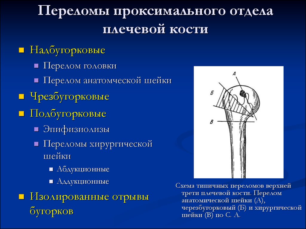 Перелом плечевой кости карта вызова скорой медицинской помощи