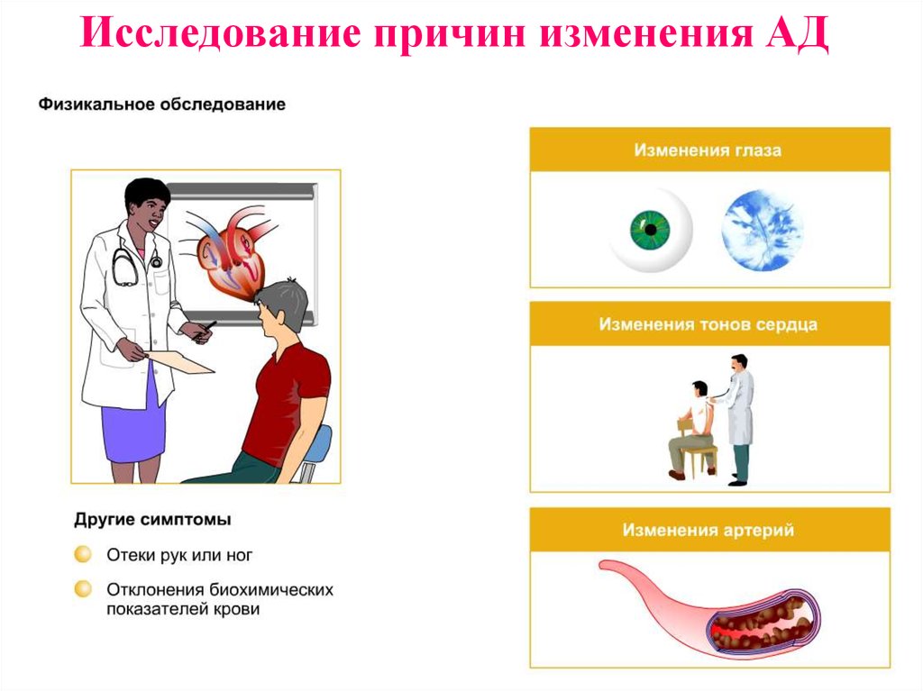 Исследование причин. Причина обследования. Исследование почему. Роль бактерий в изменении артериального давления. Причины изменения ad.