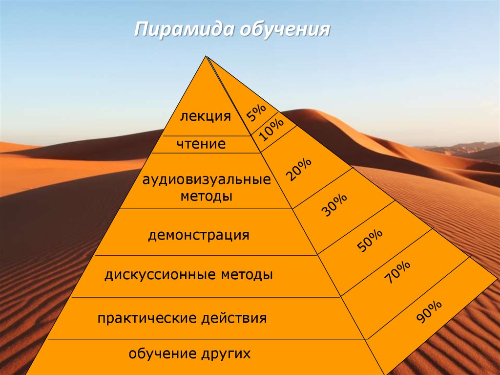 Картинка пирамида обучения