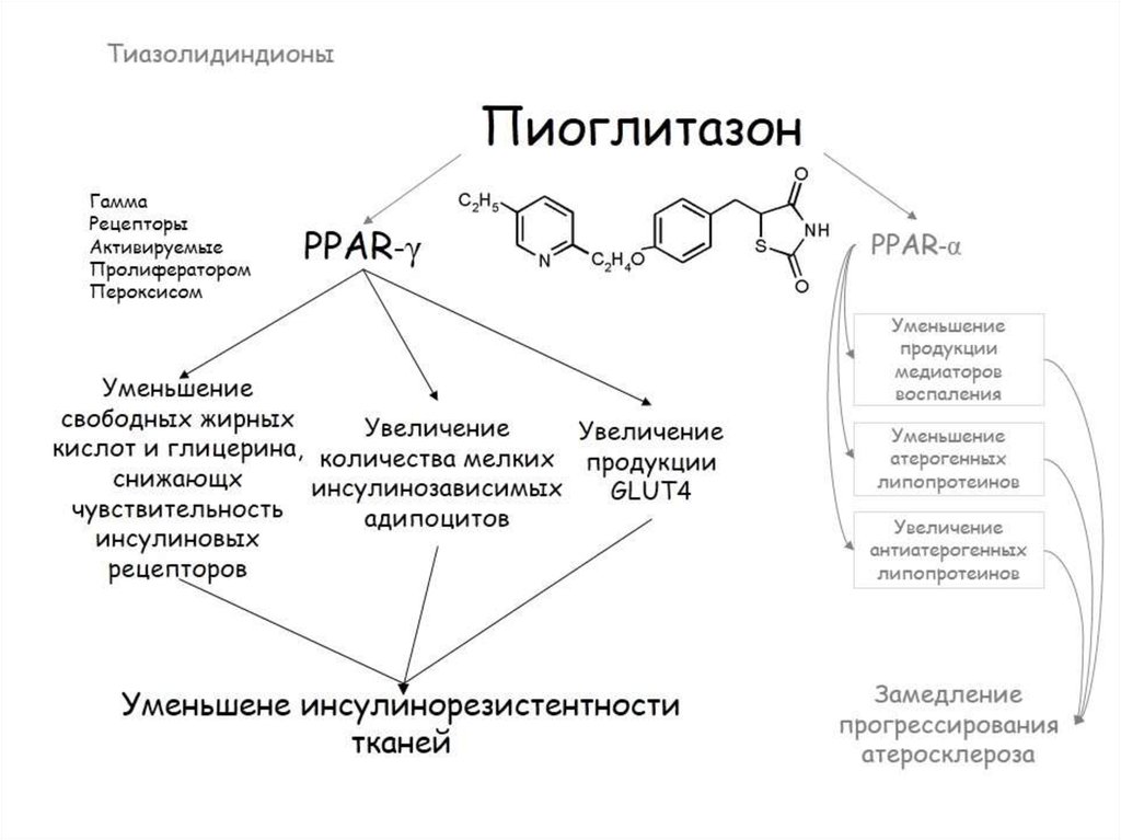 Схема при инсулинорезистентности корнилова