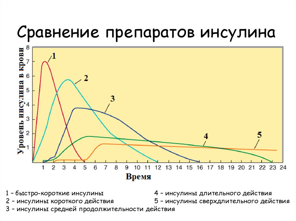 Заметим время действия