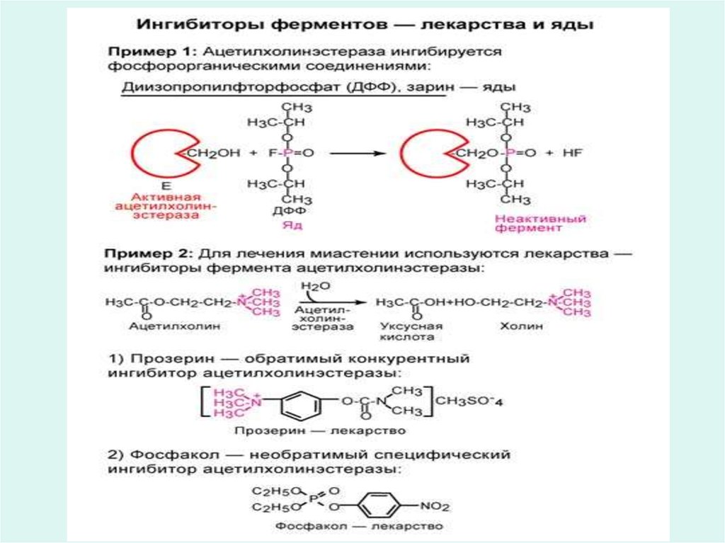 Примеры активности ферментов. Регуляция активности ферментов таблица. Механизмы ингибирования ферментов. Механизмы индукции и ингибирования ферментов.. Фермент сод строение.