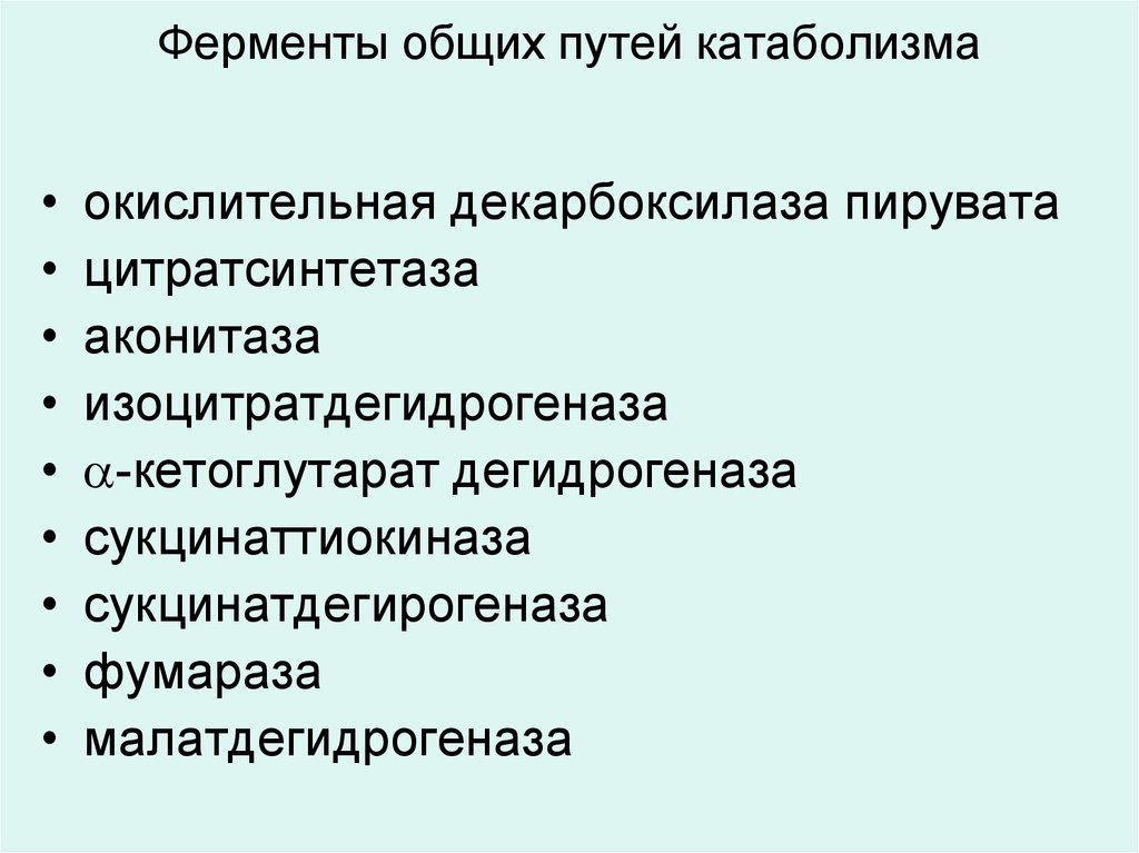 Общий путь. Регуляторные ферменты общего пути катаболизма. Цитратсинтетаза класс ферментов. Сукцинаттиокиназа класс фермента. Дефицит фумаразы пациент.