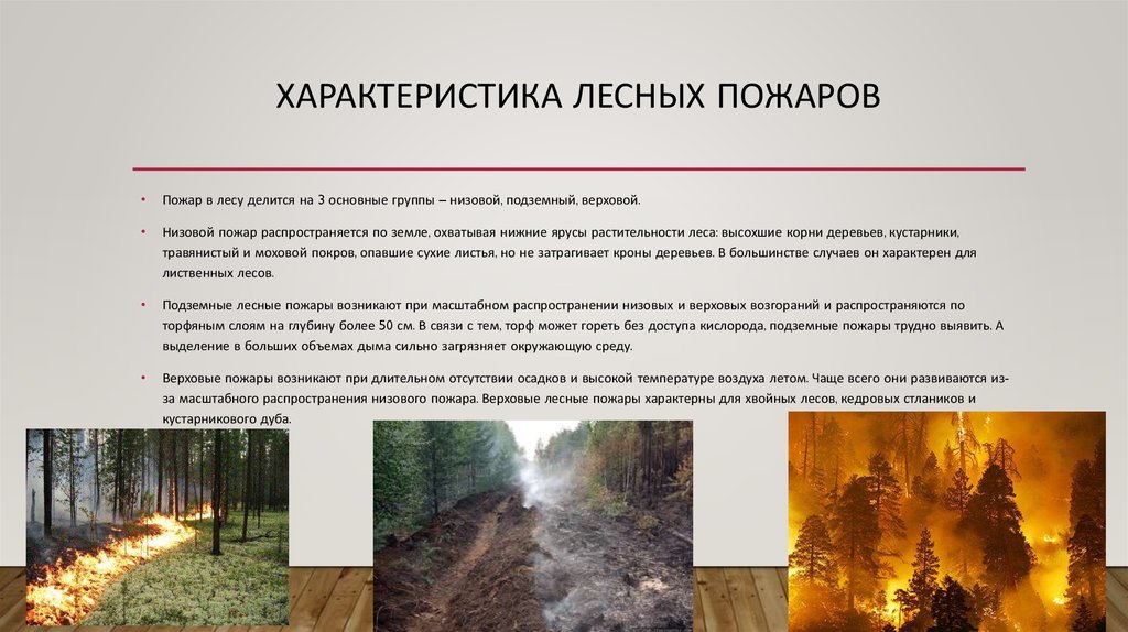 Верховые низовые подземные. Основные параметры лесного пожара. Краткая характеристика лесных пожаров. Лесной низовой пожар характеристика. Основные характеристики лесного пожара.