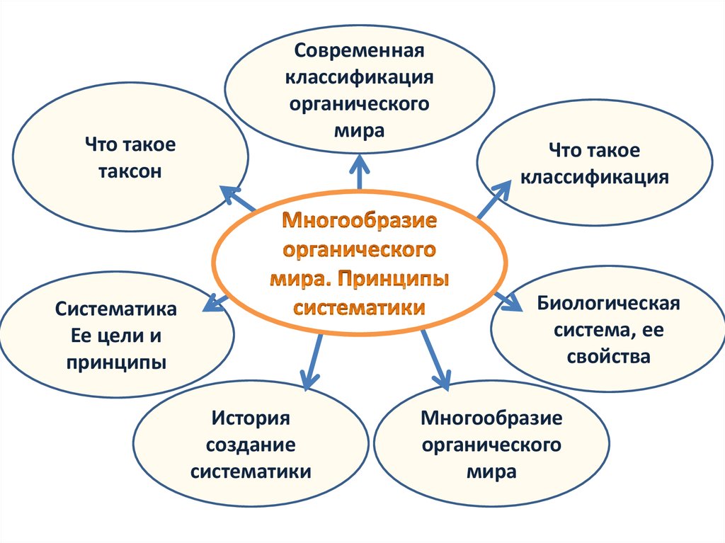 Принципы классификации систематика. Современная классификация. Классификация органического мира. Многообразие органического мира принципы систематики. Принципы современной классификации в биологии.