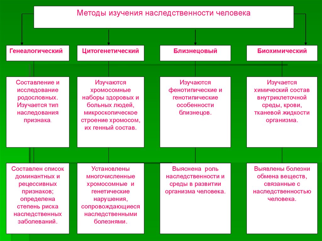 Классификация основных методов наследственности человека заполните схему