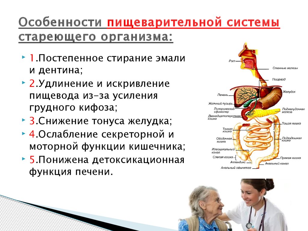 Заболевание желудочного тракта. Схема заболеваний пищеварительной системы. Заболевания органов пищеварения у пожилых людей. Пищеварительная система органов человека заболевания. Возрастные изменения пищеварительной системы.