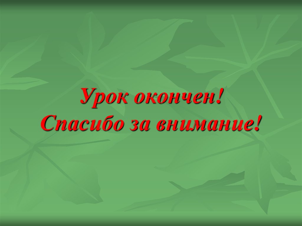 Спасибо за внимание для презентации грибы