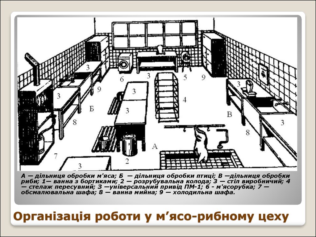 Схема мясо рыбного цеха с расстановкой оборудования и описанием