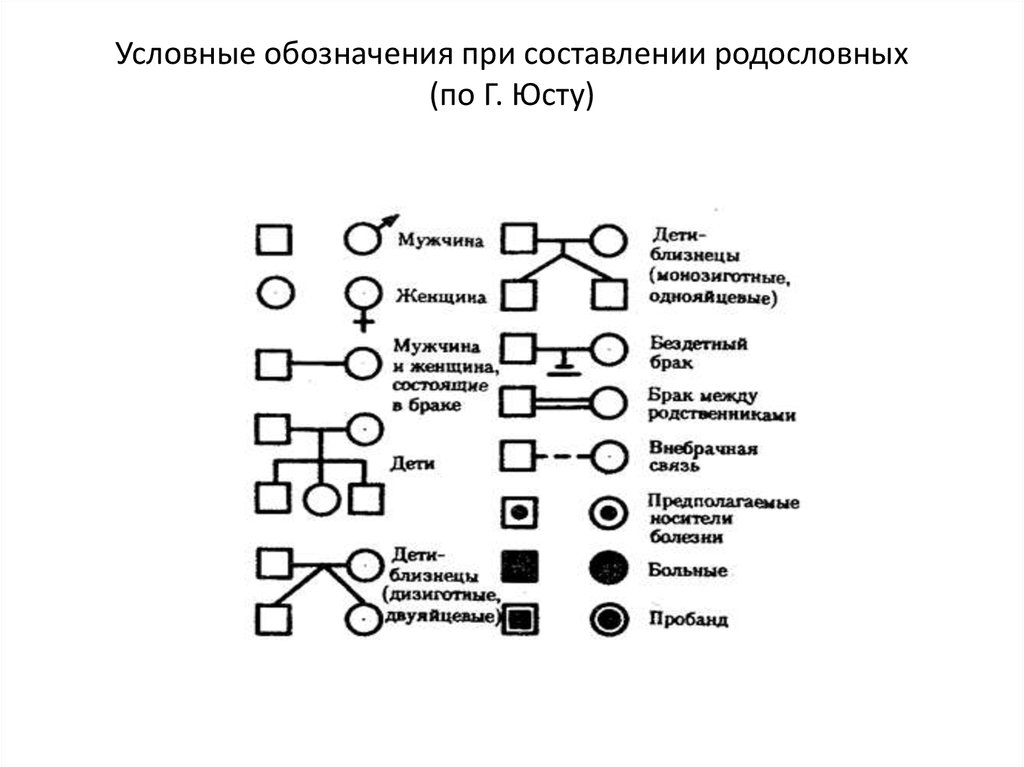 Презентация составление родословных 10 класс