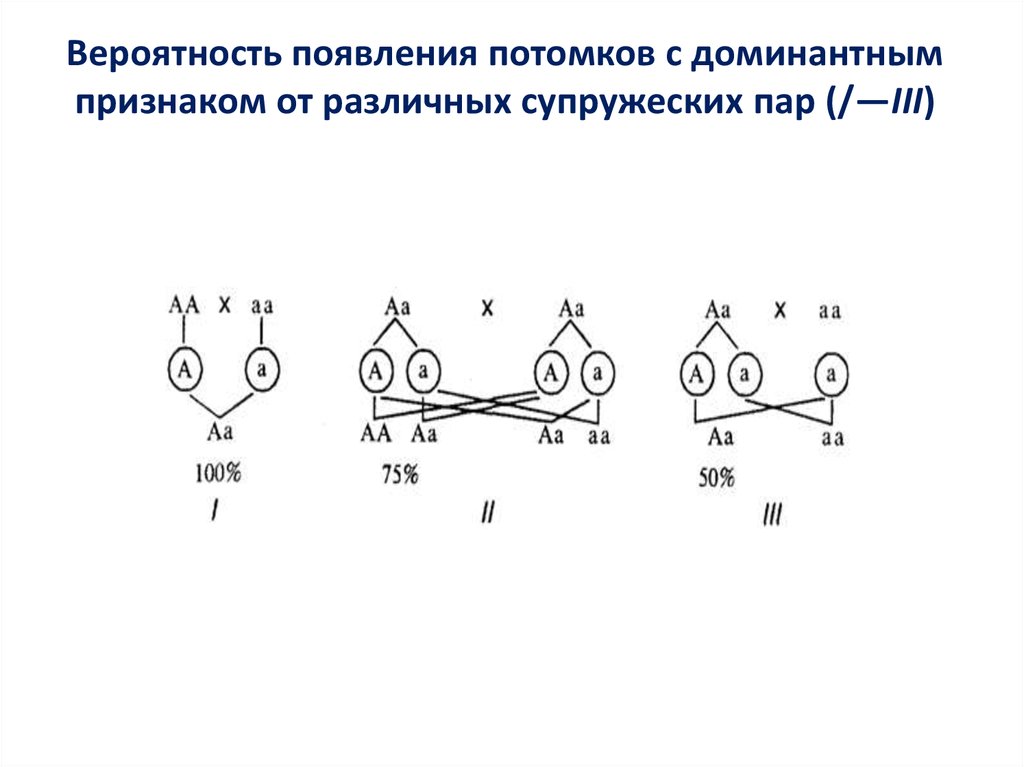 Вероятность проявления признака. Вероятность проявления доминантного признака. Вероятность появления потомков с доминантным признаком. Определите вероятность получения потомков. Вероятность проявления признака в процентах в генетике.