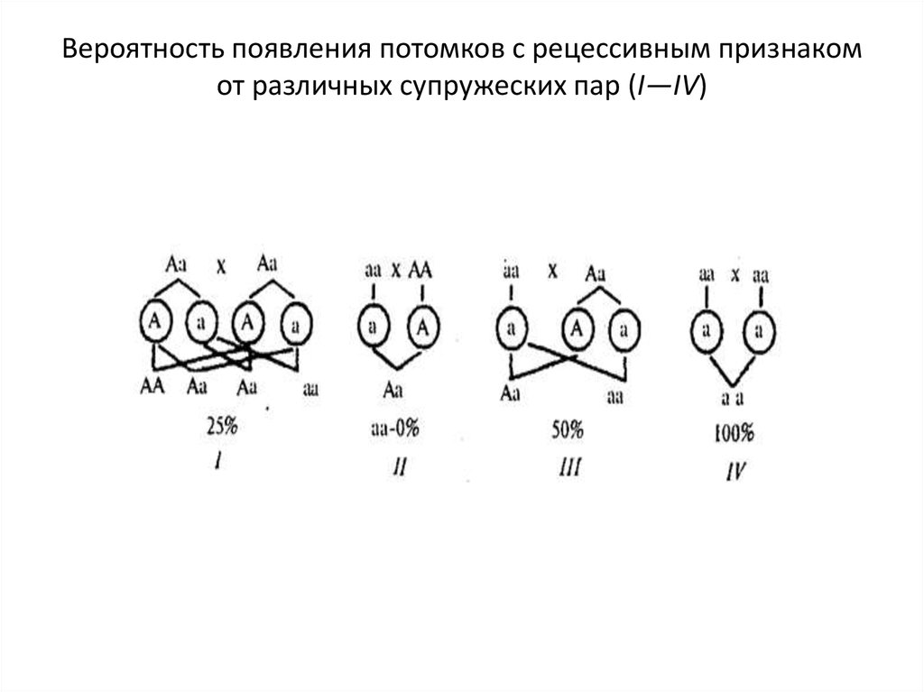 Появление у потомков новых признаков. Потомство с разными признаками. Потомство с разными признаками человека. Вероятность появления потомков с доминантным признаком.